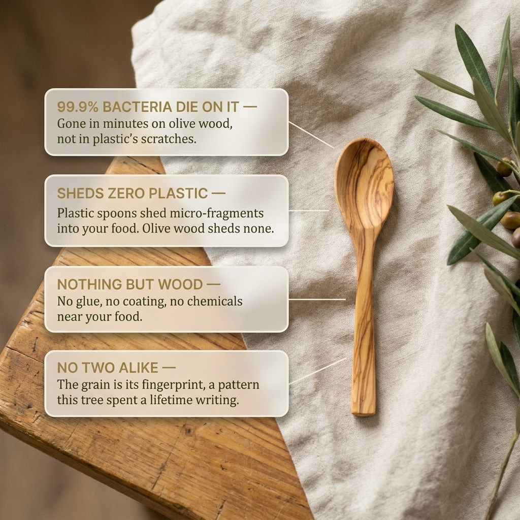 Rose's Olivewood Big Spoon